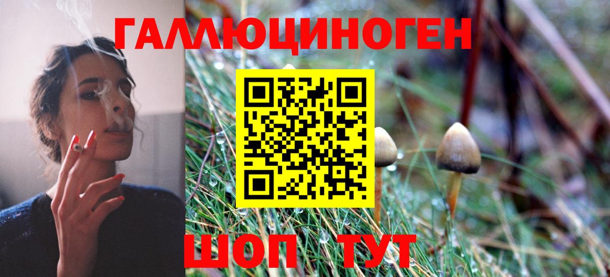 Галлюциногенные грибы GOLDEN TEACHER  Галлюциногенные грибы прущие грибы  Касимов  купить наркотики цена  Вход с VPN 